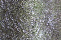 Armsdale fibreglass roof work